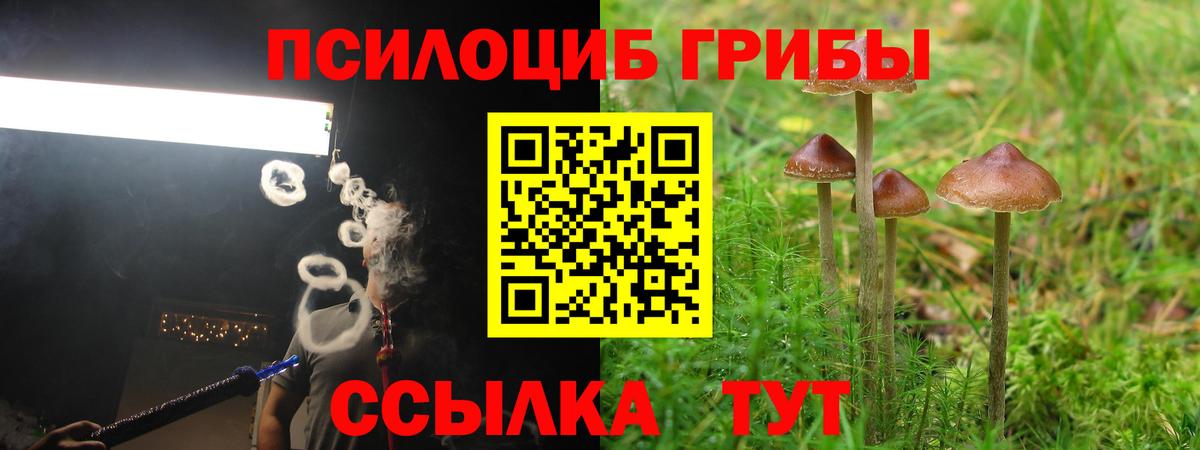 Галлюциногенные грибы GOLDEN TEACHER  Псилоцибиновые грибы мухоморы  Рубцовск  Вход с VPN 